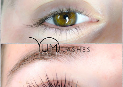 Yumi Lashes